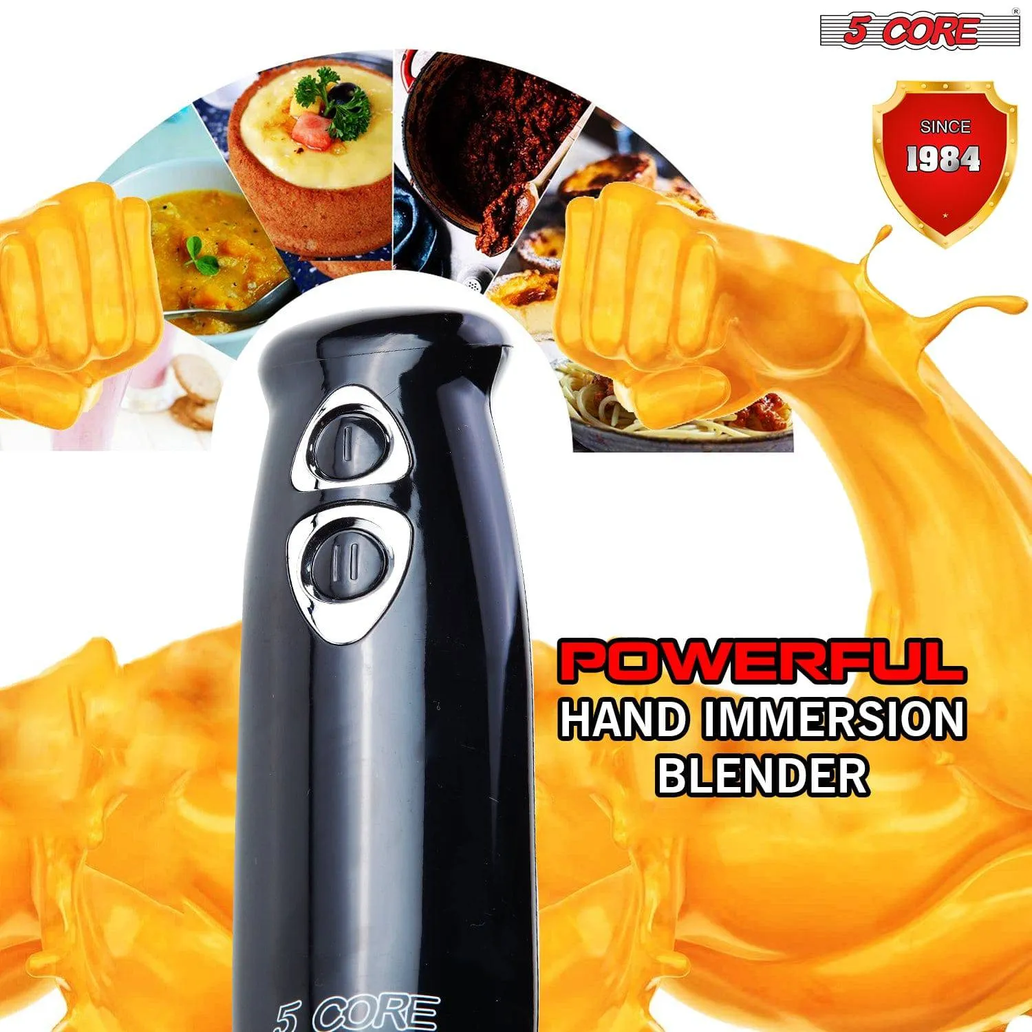 5Core 500W Immersion Blender Handheld 2 Speed Stainless Steel ,