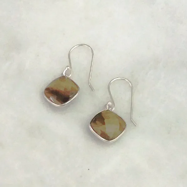 Brown Tigers Eye Single Drop Hook Earrings