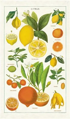  Citrus  Tea Towel