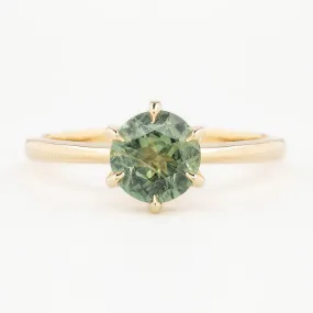 Floryn Ring 1.46ct Light Green Round Montana Sapphire, 14K Yellow Gold (One of a kind)