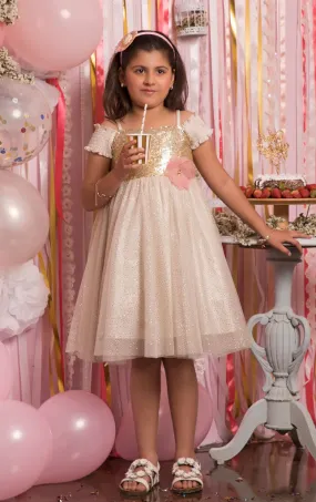 Glitter Net Sequins Frock | BIRTHDAY BASH | F979