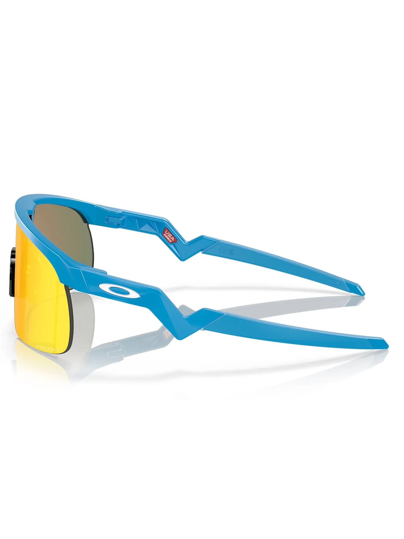 Resistor Sky Blue/Prizm Ruby Sunglasses (Kids)